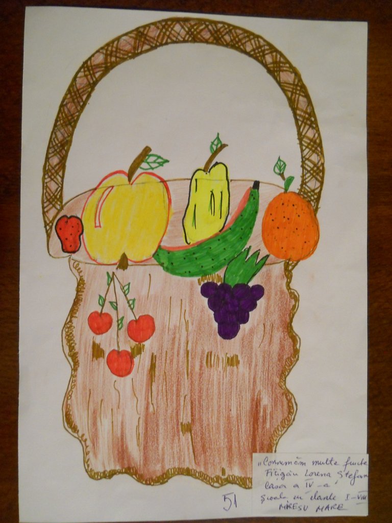 51_Fitigau Stefania_Sc Mires _prim.JPG - 